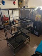 Grote knaagdierkooi, Dieren en Toebehoren, Knaagdieren en Konijnen | Hokken en Kooien, Ophalen, Kooi, 110 cm of meer, Nieuw
