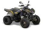 Kymco Maxxer 300, Maxxer 300, 11 kW of minder, Luxemburg, 1 cilinder