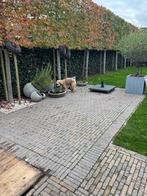 Terras klinkers, Ophalen, Gebruikt, Klinkers, 10 m² of meer