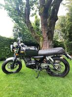 Black Seven - 125 cc - zo goed als nieuw!!! (560km), Motoren, Motoren | Mash, Particulier, 125 cc