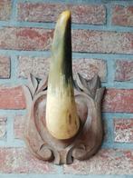 Oude kapstok hout met hoorn, Antiek en Kunst, Ophalen of Verzenden