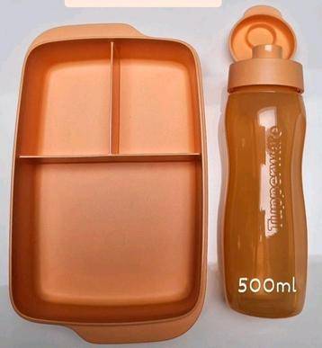 Coffret à lunch Tupperware, Enlèvement ou Envoi