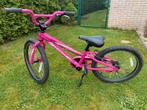 Gespecialiseerde fietstochten van 20 inch, Fietsen en Brommers, Fietsen | Kinderfietsjes, 16 tot 20 inch, Specialized, Zo goed als nieuw