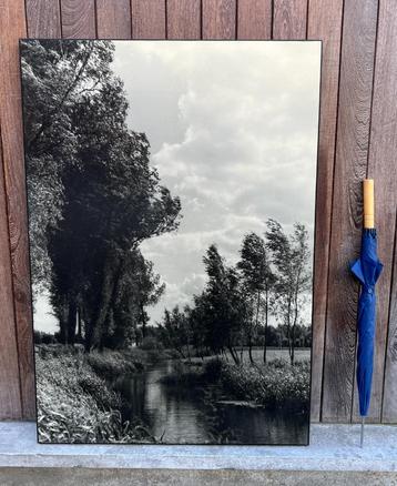 Vintage Meurop wanddecoratie: XL foto op hout beschikbaar voor biedingen