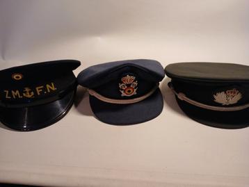 3 kepies beschikbaar voor biedingen