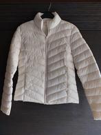 Jas XS Nieuw, Kleding | Dames, Ophalen of Verzenden, Nieuw