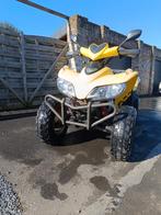 Quad Sym trackrunner 200, Motoren