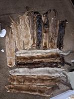 14 x manteaux en vison, Enlèvement, Comme neuf