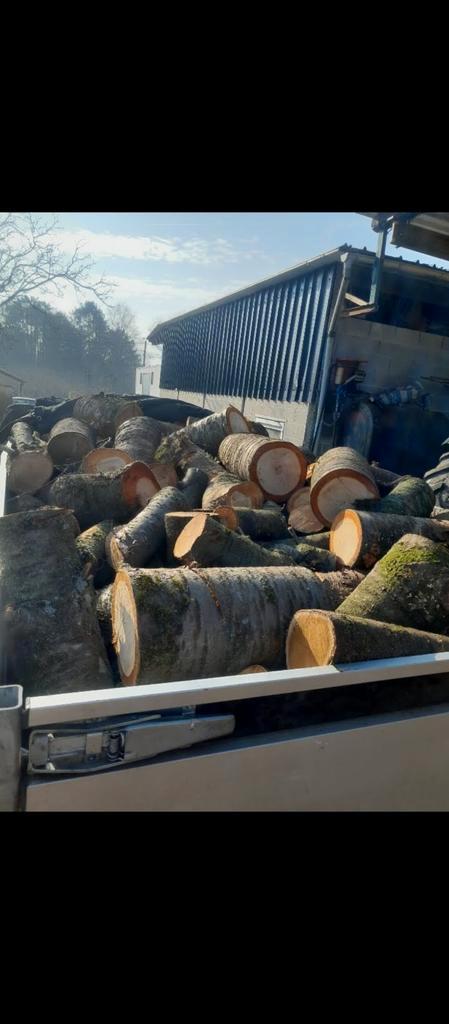 Brandhout gezaagd gratis levering, Tuin en Terras, Brandhout, Ophalen
