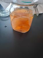 Scoby voor kombucha, Diversen, Levensmiddelen, Ophalen of Verzenden