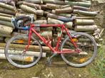 kinderfiets (racemodel), Fietsen en Brommers, Ophalen, Gebruikt, 14 inch of minder
