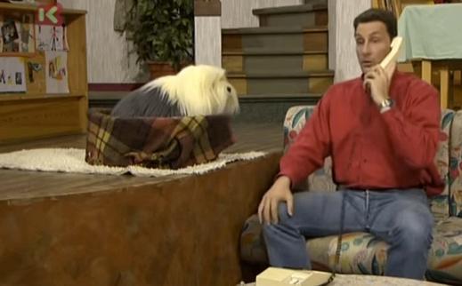 Complete Samson & Gert serie, voor echte fans!, Collections, Cinéma & Télévision, TV, Enlèvement ou Envoi