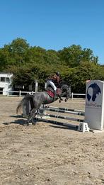 Lieve jonge merrie, Merrie, B, Springpony, 3 tot 6 jaar