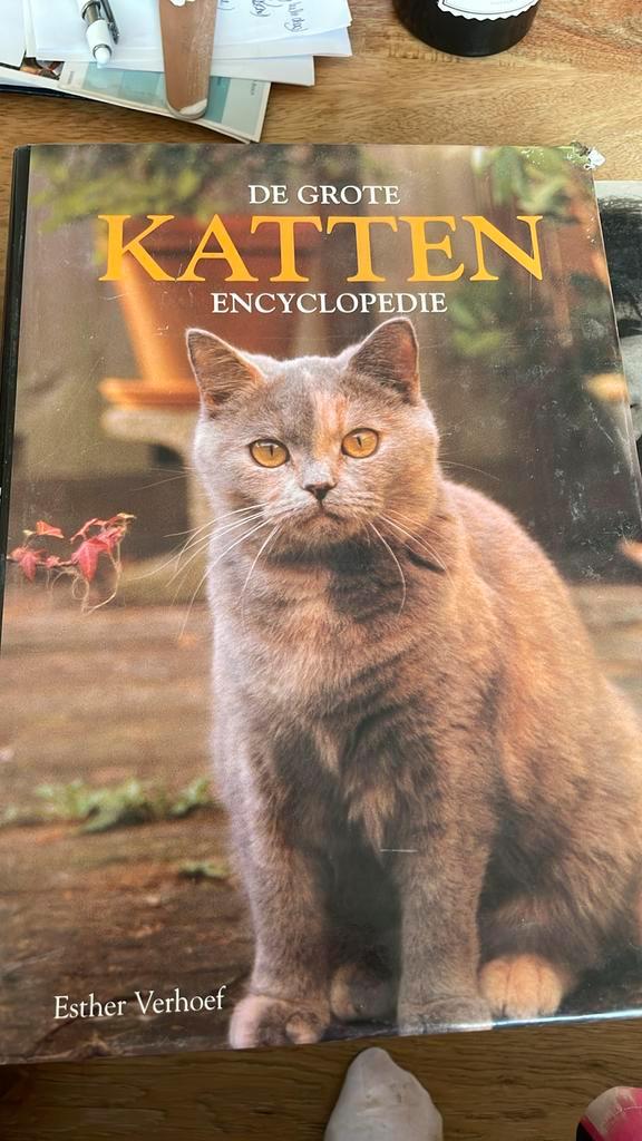 J.J. Verhoef - Verhallen - De grote katten encyclopedie, Boeken, Dieren en Huisdieren, Zo goed als nieuw, Ophalen of Verzenden