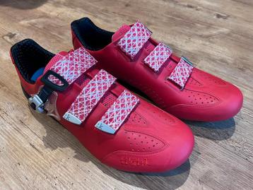 NIEUWE design Fizik koersschoenen maat 46, carbon zolen. beschikbaar voor biedingen