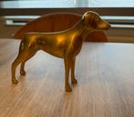 Prachtige hond in goudkleurig brons, Ophalen, Brons