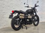 Triumph Bonneville  Street Scrambler 900 @motomobilia, Motoren, Motoren | Triumph, 2 cilinders, Motorrijbewijs A, Bedrijf, 900 cc