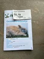 konijn, Dieren en Toebehoren