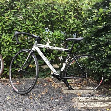 Koersfiets zannata beschikbaar voor biedingen