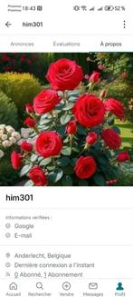 vinted, Kleding | Dames, Overige Dameskleding, Ophalen, Nieuw