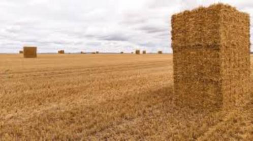 tarwestro 120/70/180, Zakelijke goederen, Landbouw | Veevoer, Ophalen of Verzenden