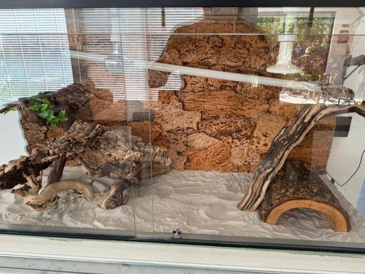 Terrarium avec tous les accessoires et accessoires, Animaux & Accessoires, Reptiles & Amphibiens | Accessoires, Comme neuf, Terrarium ou Paludarium