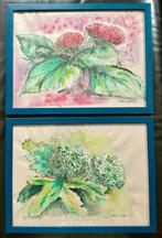2 aquarellen van bloemen, Ophalen