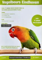 Vogelbeurs Eindhoven elke 3e zondag