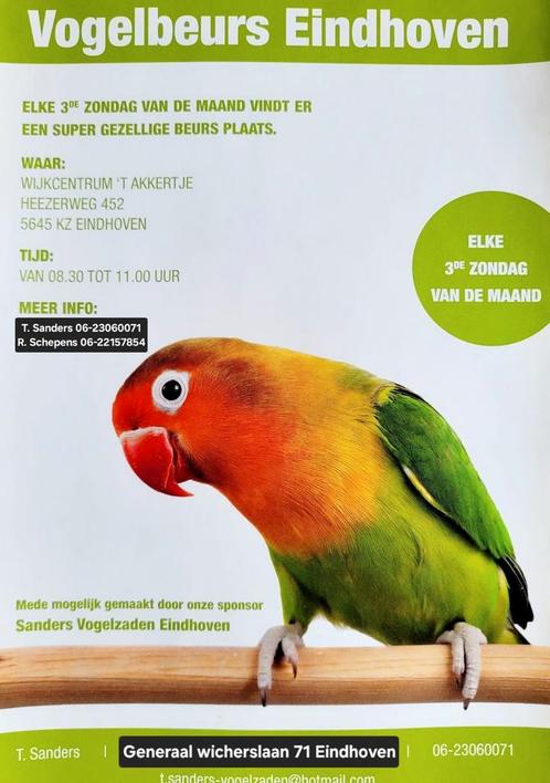Vogelbeurs Eindhoven elke 3e zondag, Dieren en Toebehoren, Vogels | Overige Vogels
