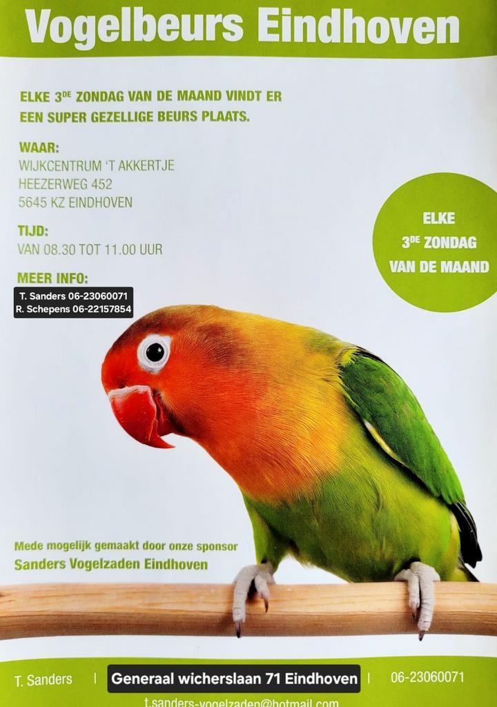 Vogelbeurs Eindhoven elke 3e zondag, Dieren en Toebehoren, Vogels | Overige Vogels