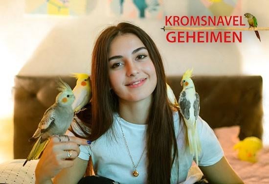 Papegaai beter begrijpen? Kromsnavel Geheimen, Perroquet, Parleur