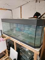 Aquarium, Dieren en Toebehoren, Ophalen, Zo goed als nieuw