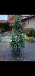 Kerstboom, Tuin en Terras, Ophalen