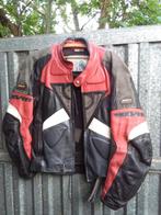 Lederen motto jas, Motoren, Ophalen, Tweedehands, Heren, Jas | leer