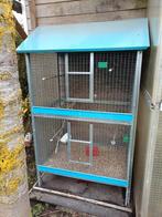 Vogelkooi/kleine voliere, Enlèvement, Cage à oiseaux