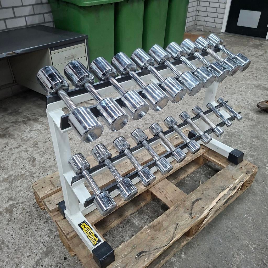Technogym Chroom Dumbells Set + Technogym Dumbellrek, Ophalen