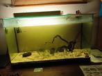Aquarium 90cm met filter, Ophalen
