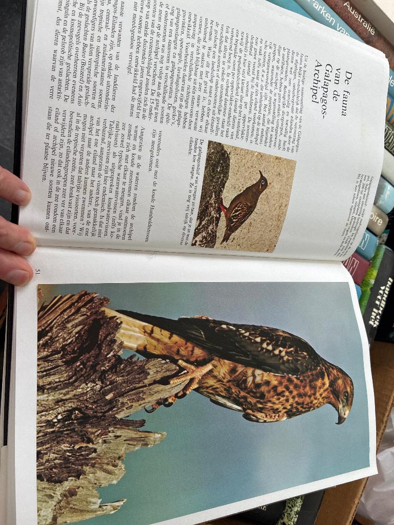 Boeken Artis, Livres, Livres d'images & Albums d'images, Enlèvement, Utilisé, Artis historia, Livre d'images