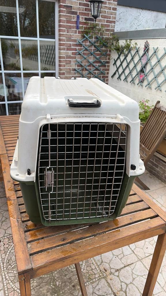 Cage ppur chien, Enlèvement, Utilisé