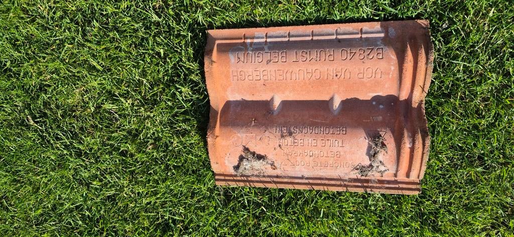 Dakpannen Van Cauwenbergh Rumst, Ophalen, Rood