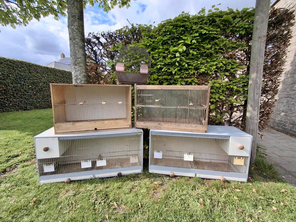 Vogel kooien, Ophalen, Zo goed als nieuw, Hout, Vogelkooi