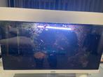 Juwel Aquarium Rio 125 Led Met Filter Zit, Dieren en Toebehoren, Ophalen, Zo goed als nieuw, Leeg aquarium