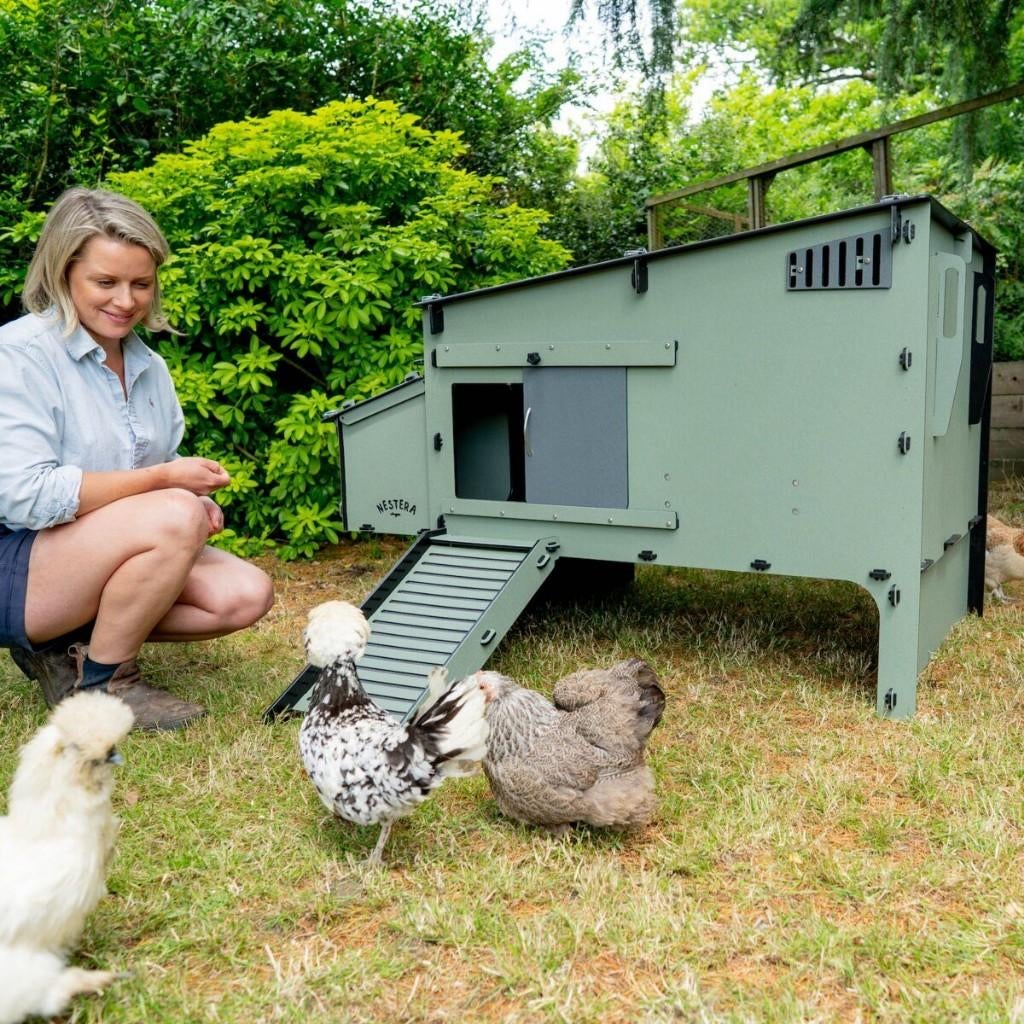 Nestera The Aspen 10, Dieren en Toebehoren, Pluimvee | Toebehoren, Nieuw, Kippenhok of Kippenren, Ophalen of Verzenden