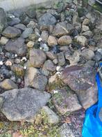 Gratis Vijverkeien. Keien.Rotstuin., Ophalen, Gebruikt