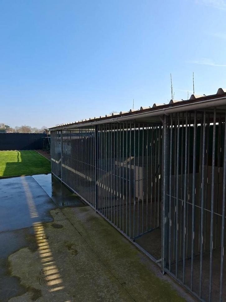 Hondenkennel, Dieren en Toebehoren, Hondenhokken, Ophalen