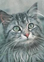 MOOIE  GRIJZE  KAT   + mooie postzegel !, Envoi, 1980 à nos jours, Affranchie, Chien ou Chat