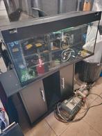 Juwel 180 met onderkast (zwart), Dieren en Toebehoren, Ophalen, Gebruikt