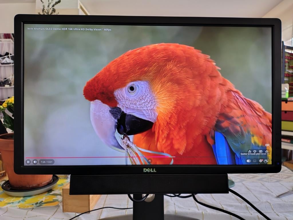 Moniteur / Écran pc / ordinateur Dell - 24 pouces - occasion, Haut-parleurs intégrés, 5 ms ou plus, 61 à 100 Hz, Full HD