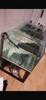 Volglas aquarium groot, Dieren en Toebehoren, Vissen | Aquaria en Toebehoren, Ophalen, Zo goed als nieuw