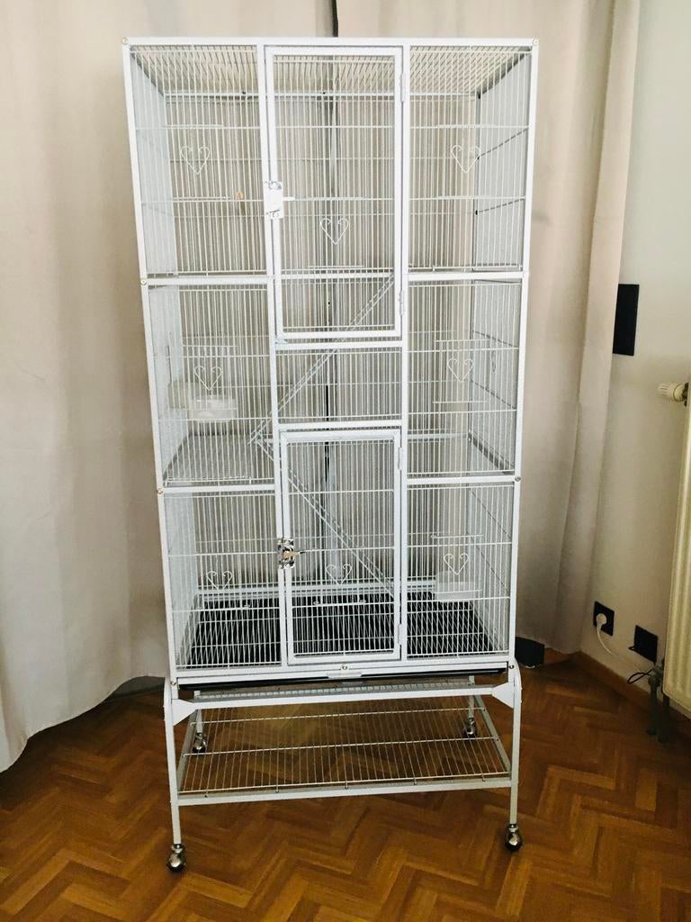 Kooi, Enlèvement, Comme neuf, Cage à oiseaux